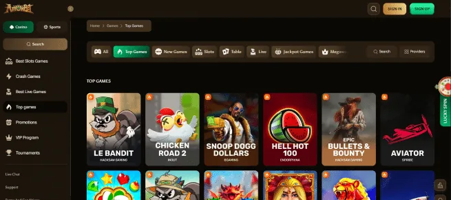 Amunbet Casino groot spelaanbod met meer dan 100 providers