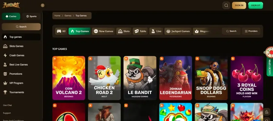 Spelaanbod van Amunbet Casino met meer dan 100 software providers